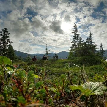 Alaskan Wilderness Stock-Fotos