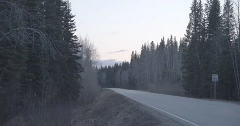 Alaskan Wilderness Road Stock Footage 152953847