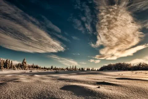 Alaskan winter Stock Photos