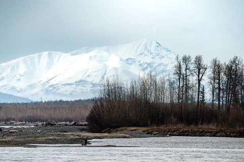 Alaskan Winter Scenery 库存照片