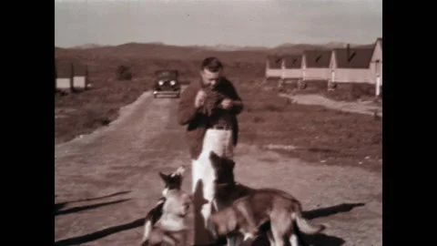 Alaskan Working Dogs 1937 Stock Footage 201552929