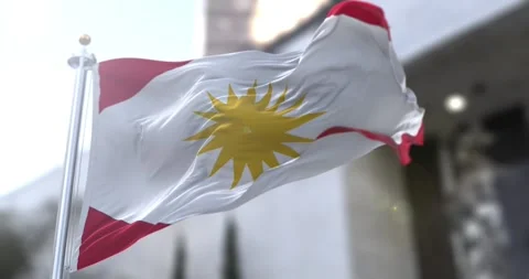 Alawite-flag-waving-seamless-loop-4k-60fps Stock Footage 331569822