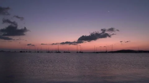 Alba Video stock 151590355