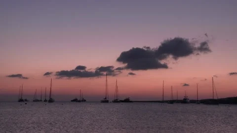 Alba Video stock 151590667