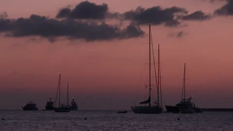 Alba Video stock 151590893