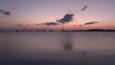 Alba Video stock 151591327