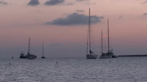 Alba Video stock 151591550