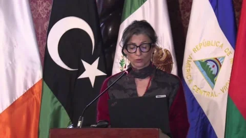 Albanese sees the commitments of The Hague Group as a "lifeline" for the Palesti Stock Footage 313244565