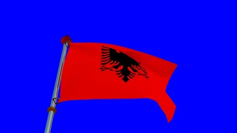 Albania Flag in 3D Stock Footage 157493897