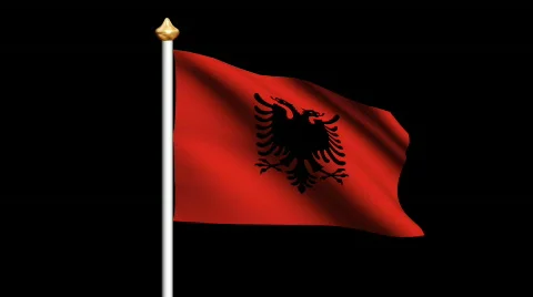 Albania flag Video stock 557109