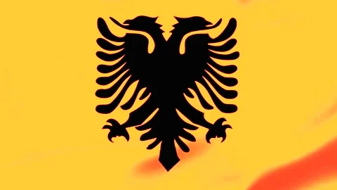 Albanian flag with black doubleheaded eagle on yellow background Video stock 343573589