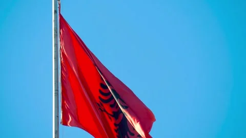 Albanian flag flutters in the wind. Stock-Footage 332160075