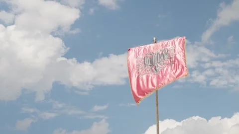 Albanian Flag flying in the wind 스톡 동영상 321942130