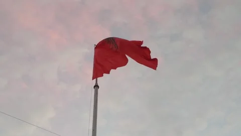 Albanian flag Video stock 312671751