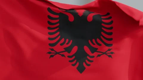 Albanian Flag Waving in the Wind with Smooth Animation Vidéo 331109747