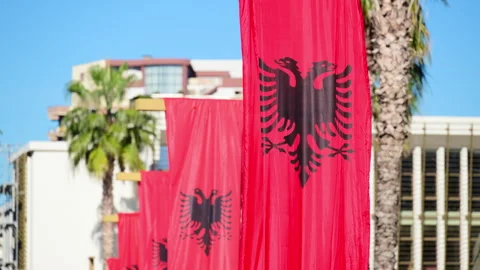 Albanian flags with double headed eagle emblem displaying national identity in a Stock Footage 329321387