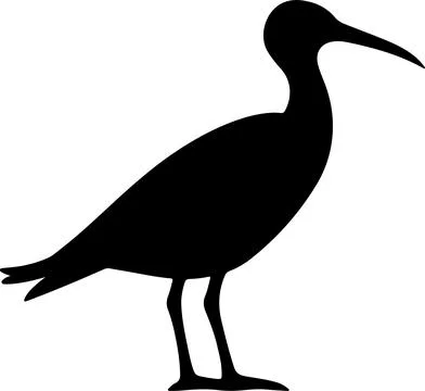 Albatross Silhouette Vector Illustration White Background Stock Illustration