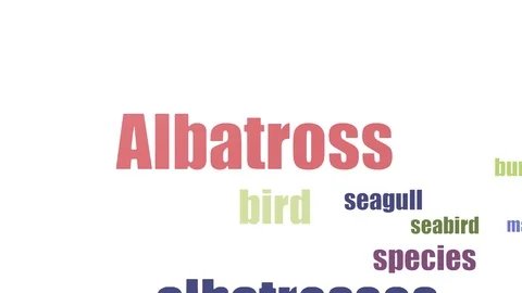 Albatross Tag Cloud Animated Isolated On White Stock Footage 107243926