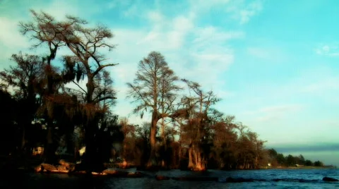AlbeMarleSound 00087O Stock Footage 547899