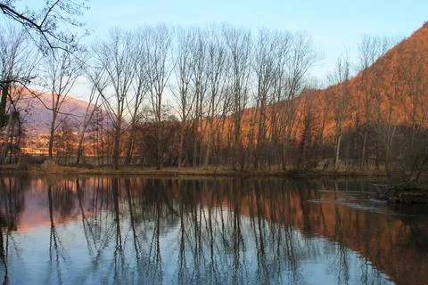 Alberi Stock Photos