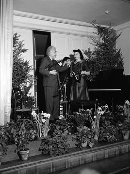 Albert Einstein At Benefit Event, Princeton, New Jersey, USA Foto stock