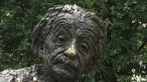 Albert Einstein Memorial Stock-Footage 54695005