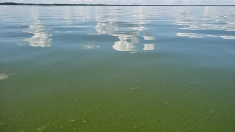 Alberta beach algee bloom (upwards tilt) #1 Video stock 172419724