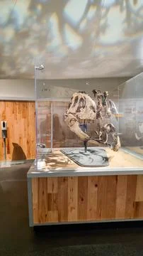 Alberta, Canada - August 06, 2023: Drumheller Museum in Alberta, Canada Stock Photos