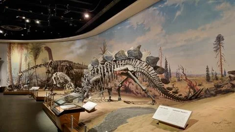 Alberta, Canada - August 06, 2023: Drumheller Museum in Alberta, Canada Foto stock