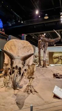 Alberta, Canada - August 06, 2023: Drumheller Museum in Alberta, Canada Stock Photos