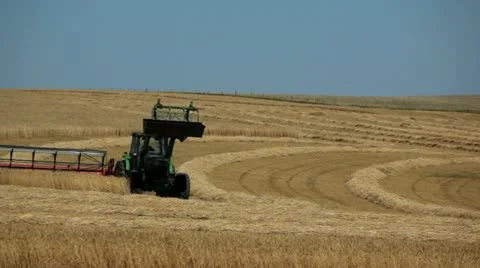 Alberta canada - august 18, 2012 harvesting wheat Stock Footage 11824249