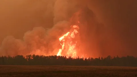 Alberta, Canada - May '23 - Extreme wildfire violent flames 4K clip series 6/15 Stock Footage 244887735