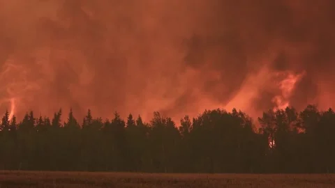 Alberta, Canada - May '23 - Extreme wildfire violent flames 4K clip series 3/15 Stock Footage 244887749