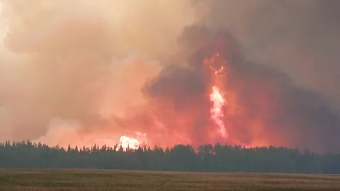 Alberta, Canada - May '23 - Extreme wildfire violent flames 4K clip series 2/15 Stock Footage
