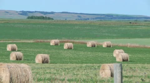 Alberta Farmland 5 Stock Footage 8914001