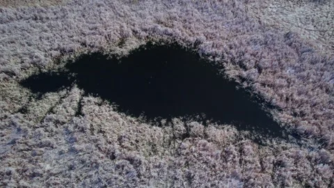 Alberta Farmland in early Spring Stock Footage 274652801
