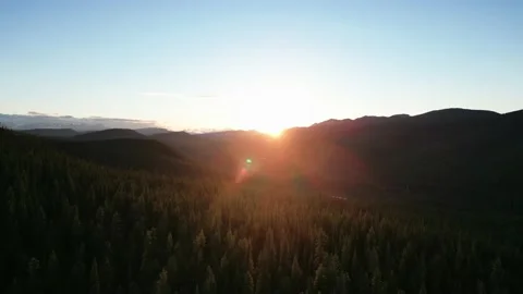 Alberta Flight Over Cardinal River Valley into Sunset Stock Footage 201778873