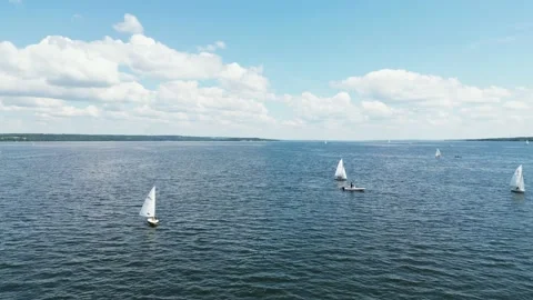 Alberta Flight Over Group of Small Sailboats on Lake Wabamun Stock Footage 201778868