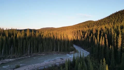 Alberta Fly Over Cardinal River into Sunlit Trees Stock Footage 201778917