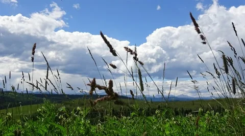  ALBERTA FOOTHILLS time lapse 2 Vidéo 65188844