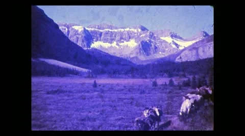 Alberta pack train going up Spruce Creek 1938 Stock Footage 12448193