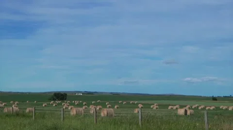 Alberta Sky 3 Stock Footage 8914033