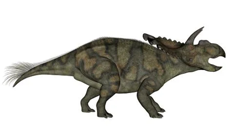 Albertaceratops dinosaur - 3D render Stock Illustration