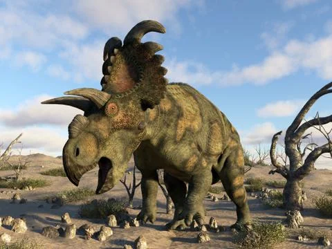 Albertaceratops dinosaur in the desert - 3D render Stock Illustration