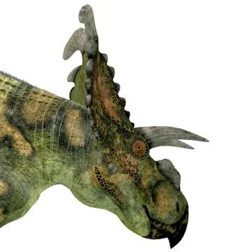 Albertaceratops Dinosaur Head Stock Illustration