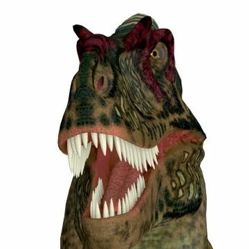 Albertosaurus Dinosaur Head 스톡 일러스트