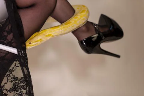 Albino moluro python on legs of dark goth brunette girl with high heels fetis Photos