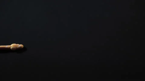 Albino python crawling from the left to right Video stock 112636170