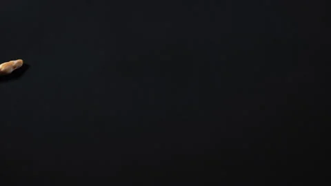 Albino yellow python showing head, empty space Stock Footage 112636219