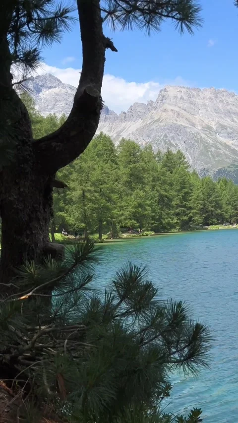 Albula Alps Palpuognasee Lai da Palpuogna lake Switzerland landscape outdoor 스톡 동영상 331284088
